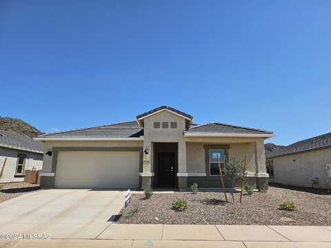 Black Dalea, MARANA, AZ 85653