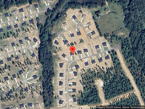 Belfast Loop, Ellabell, GA 31308