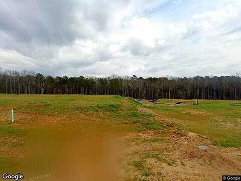 Conrad Circle, Hampton, GA 30228