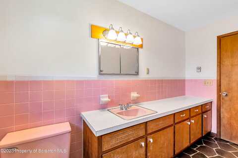 Tulip, CLARKS SUMMIT, PA 18411