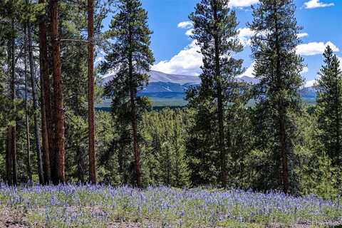 Elk, LEADVILLE, CO 80461