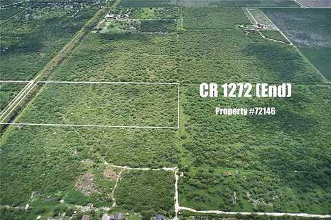 (End) County Road 1272, Sinton, TX 78387