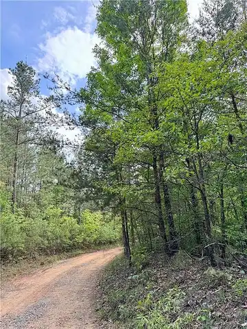 Old Shyers Ford Road, Talking Rock, GA 30175