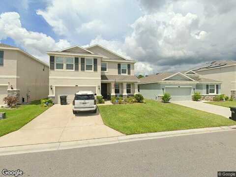 Living Coral, ODESSA, FL 33556