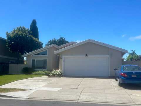 Ariel, FREMONT, CA 94555