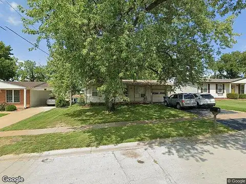 Tulip Tree, HAZELWOOD, MO 63042