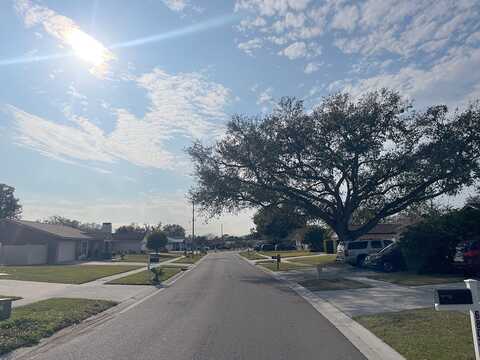 Rosemary, TAMPA, FL 33625