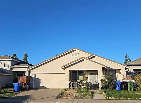 Boysenberry, ELK GROVE, CA 95624