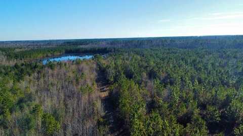 00 Herrington Rd, Hazlehurst, GA 31539
