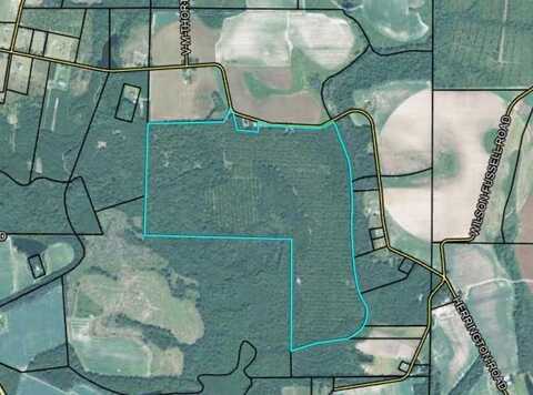 262 Herrington Rd, Hazlehurst, GA 31539