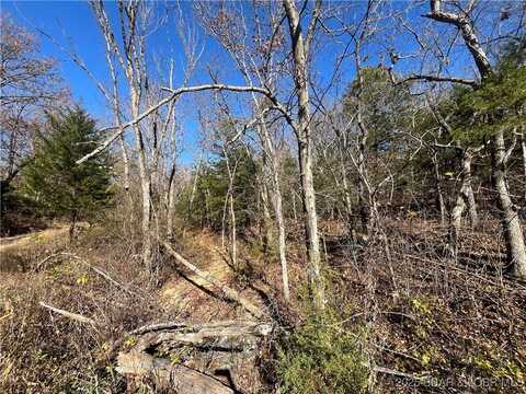 Geranamo Lane lot: 213, Rocky Mount, MO 65072