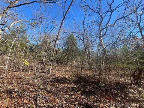 Apache Lane lot: 116, Rocky Mount, MO 65072