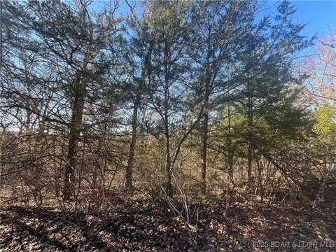 Toronto Lane lot: 255, Rocky Mount, MO 65072