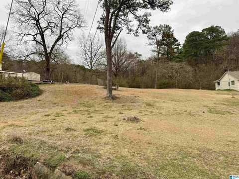 313 BELCHER HILL ROAD, GARDENDALE, AL 35071