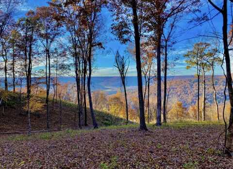 390 Volunteer Street, Jasper, TN 37347