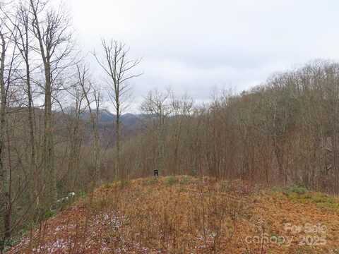 92 Alarka Highlands Road unit: 92, Bryson City, NC 28713