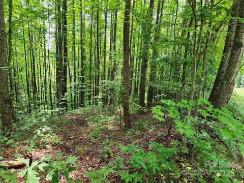 McKenzie Way S lot: 78&79, Old Fort, NC 28762
