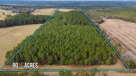 81 Acres Union Road, Florala, AL 36442