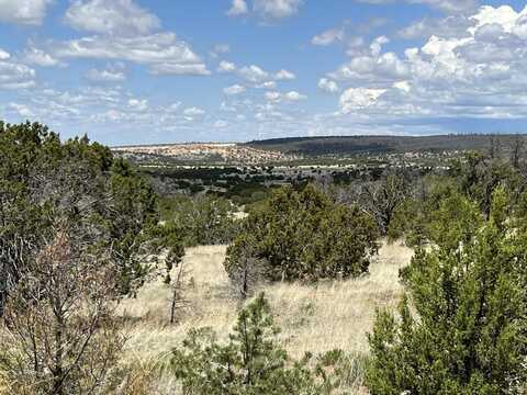 Lot 306 Edgewood Drive, Ramah, NM 87321