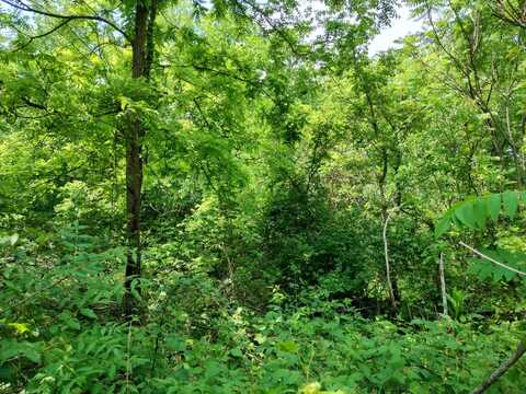 Briarwood Drive, Otsego, MI 49078