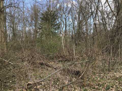 Briarwood Drive, Otsego, MI 49078