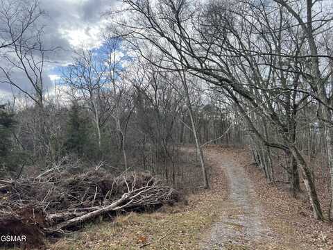Goodwater Road, Bybee, TN 37713