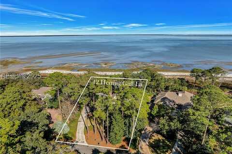 12 Herring Gull Lane, Hilton Head Island, SC 29926