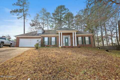 335 Cypress Creek Road, Brandon, MS 39047