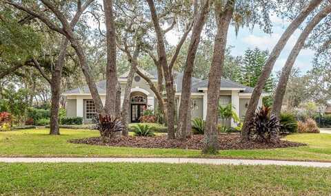 6017 HAMMOCK HILL AVENUE, LITHIA, FL 33547