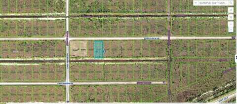 PORTULACA DRIVE, INDIAN LAKE ESTATES, FL 33855