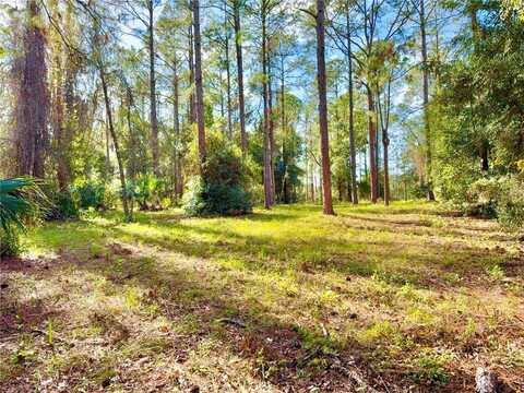 24120 GREENWOOD CROSSING, EUSTIS, FL 32736