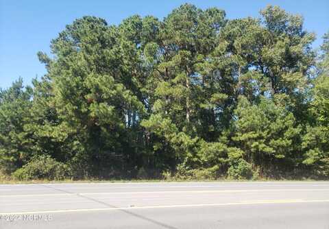 Lot 6 Hwy 11 S, Kinston, NC 28504