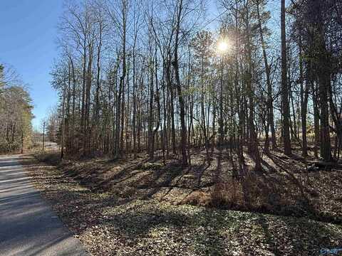 5 Nancy Cove Road, Southside, AL 35907