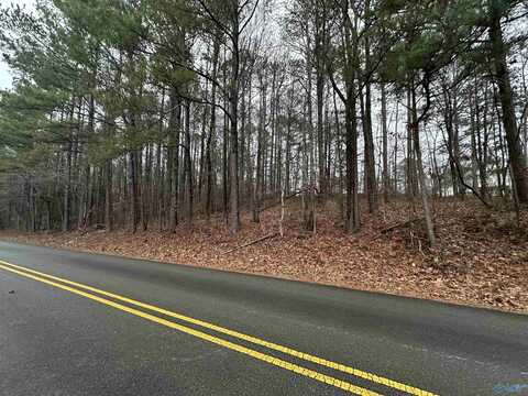 3 Acres Pine Lake Drive NW, Arab, AL 35016