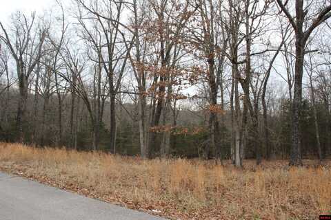 Lot 25 JEB ROAD, Flippin, AR 72634