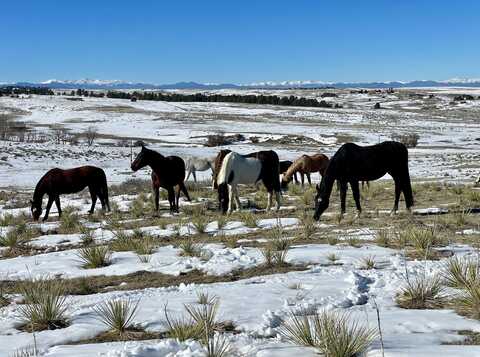 1740 Michael Gates Drive, Parker, CO 80138