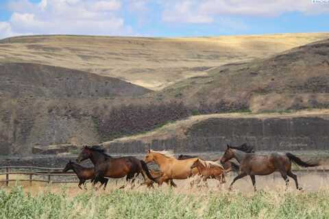 821 Old SR 26, Hay/Hooper, WA 99333