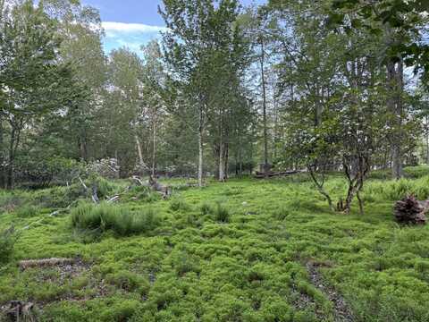 Lot 10 TWILIGHT Drive, Cresco, PA 18326