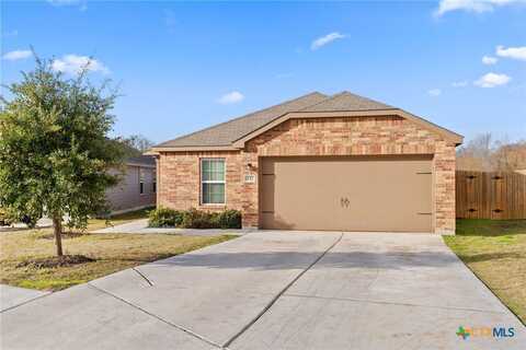 337 Crescent Park Drive, Jarrell, TX 76537