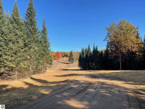 5543 SW Old Oak Trail, Fife Lake, MI 49633