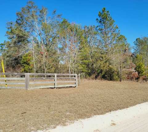 40 Ac SE Winquepin Street, Lee, FL 32059