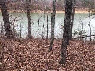 LOT 40 SHORESIDE DRIVE, Double Springs, AL 35553