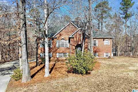 100 MAGNOLIA RIDGE CIRCLE, CHELSEA, AL 35043