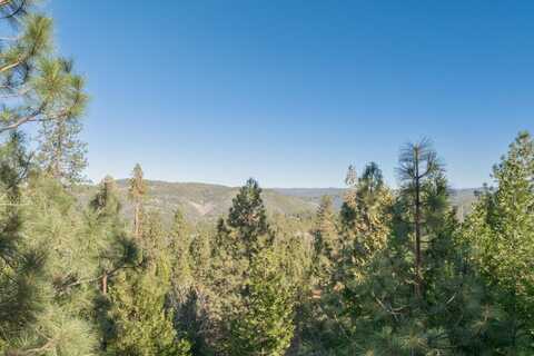 273 Snowberry Court, Murphys, CA 95247