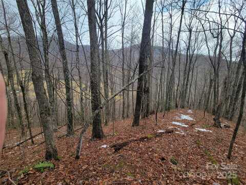 820 Chestnut Flats Lane unit: 4, Waynesville, NC 28786