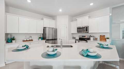 31540 Ancient Sage Road, Wesley Chapel, FL 33545