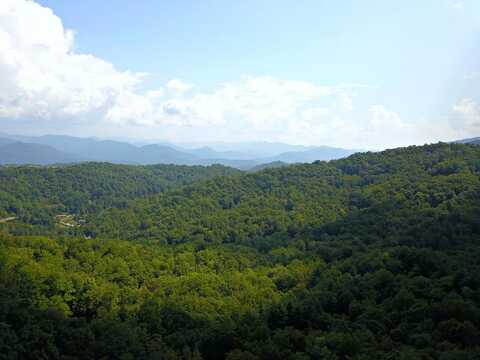 Mountain Forest Estate Rd, Sylva, NC 28779