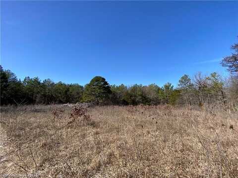 TBD Lot 1 W Hartford RD, Hartford, AR 72938