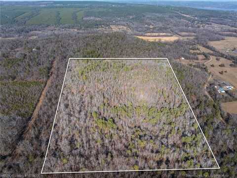 TBD Johnson LN, Delaware, AR 72835