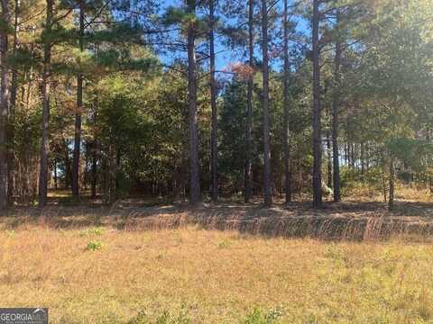 Lot 7 Jenny Lynn, Fort Gaines, GA 39851